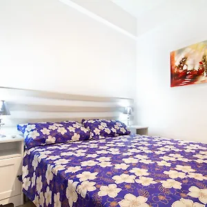 Gaudi Xl Barcelona